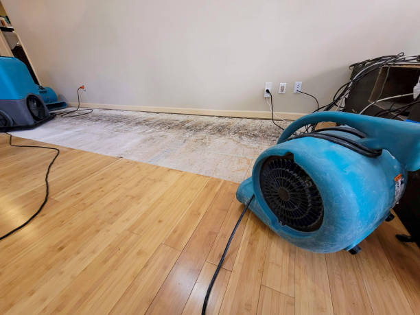 Professional Water Extraction technician working in Lakewood, CA
